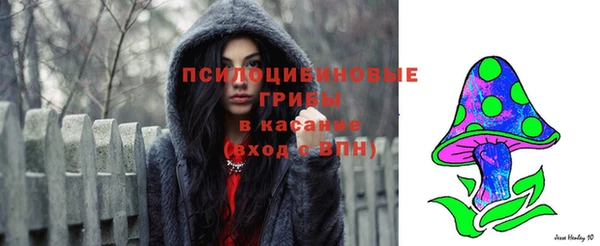 винт Арсеньев