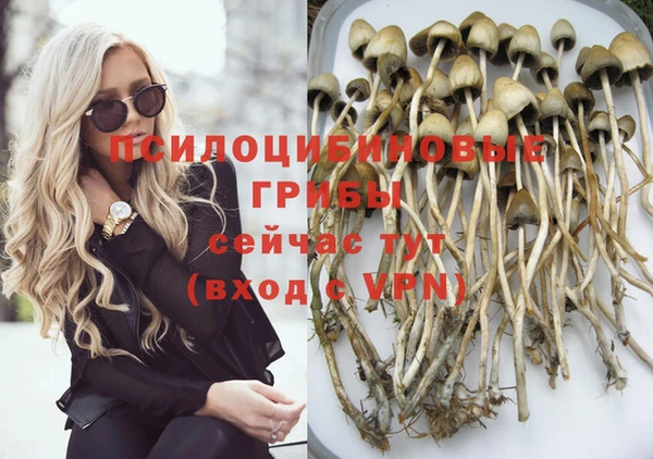 винт Арсеньев