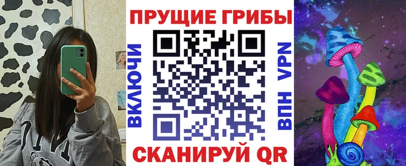 Псилоцибиновые грибы прущие грибы Тверь