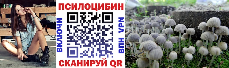 закладка Тверь hydra Псилоцибиновые грибы Cubensis